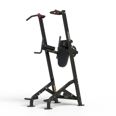 HOIST® Fitness Tree Chin Dip Leg Raise Station