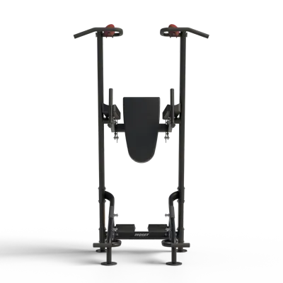 HOIST® Fitness Tree Chin Dip Leg Raise Station