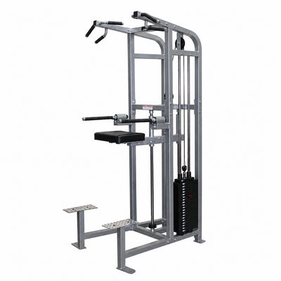 Power Body Assisted Chin Dip Power Tower