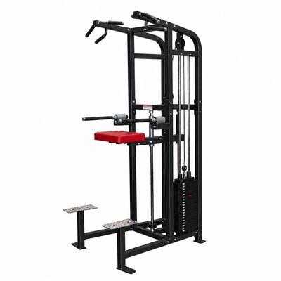 Power Body Assisted Chin Dip Power Tower