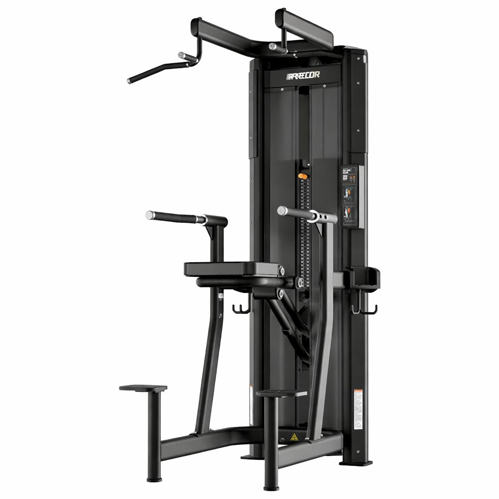 Precor Resolute™ Dip-Chin Assist