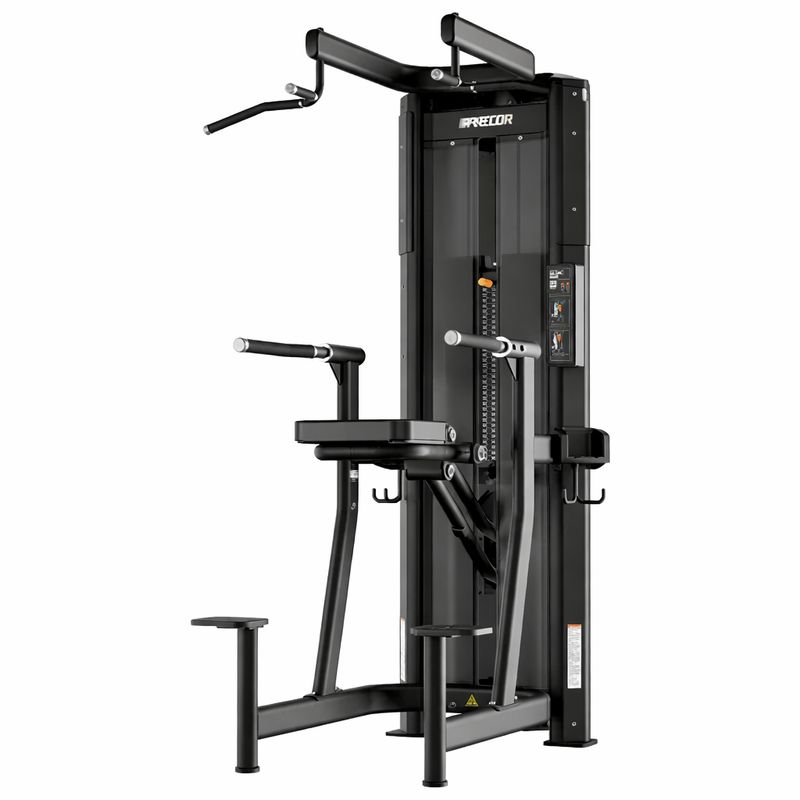 Precor Resolute™ Dip-Chin Assist