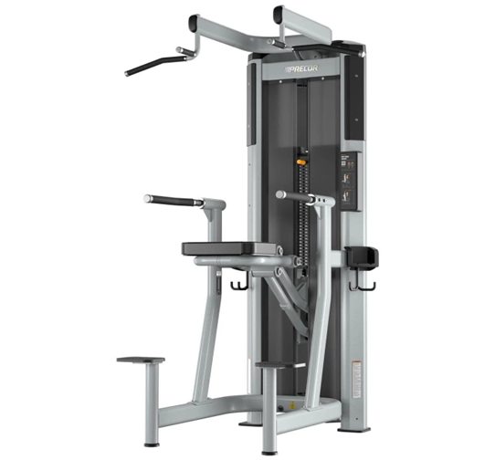 Precor Resolute™ Dip-Chin Assist