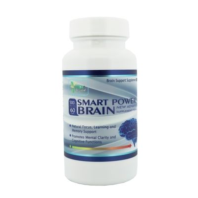 SMART POWER BRAIN