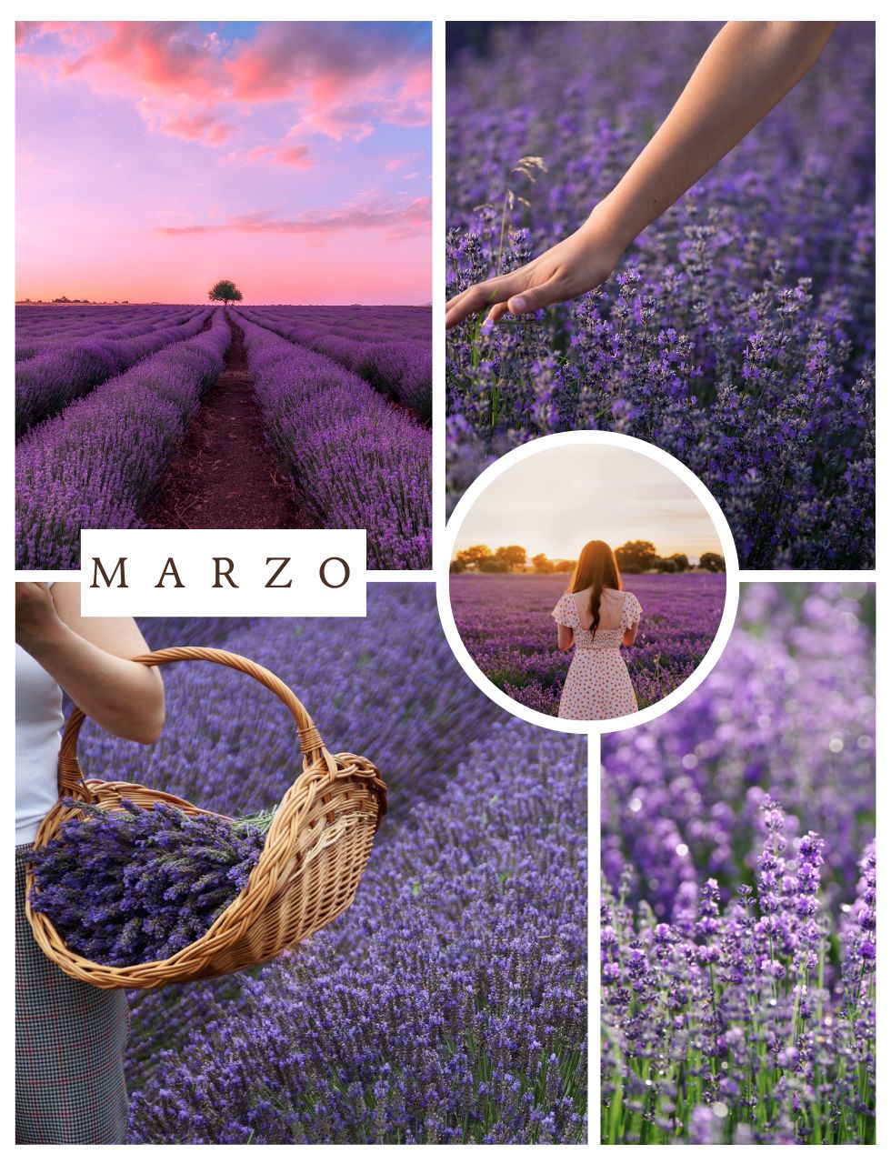 Mensualidad MARZO 2027