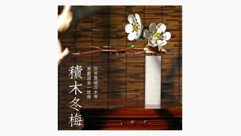 DK - 3011 - Winter Plum