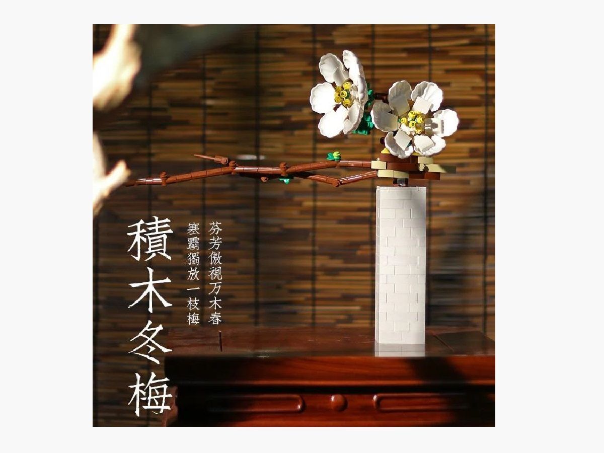 DK - 3011 - Winter Plum