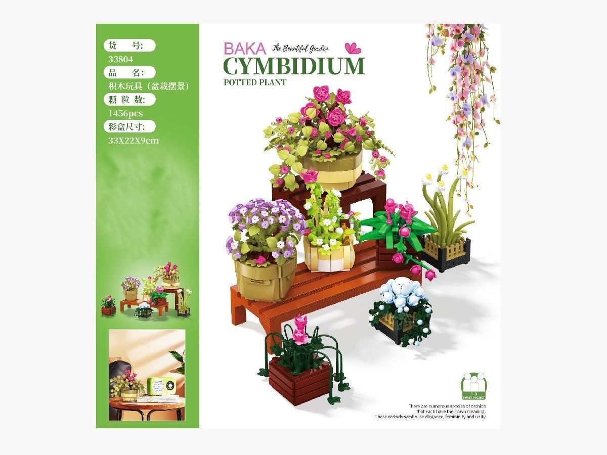 Baka - 33804 - Cymbidium Potted Plant