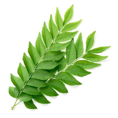 Curry leaves - Bunch