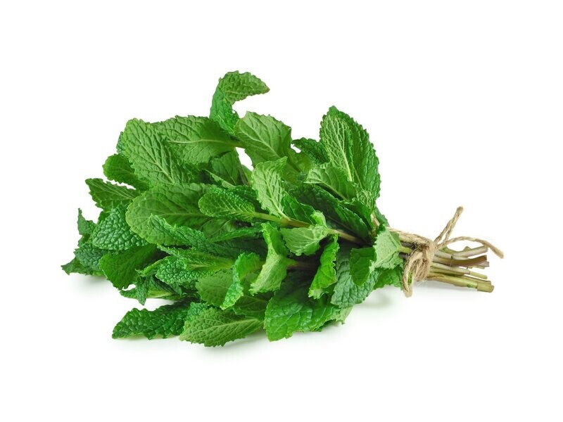 Mint - Bunch