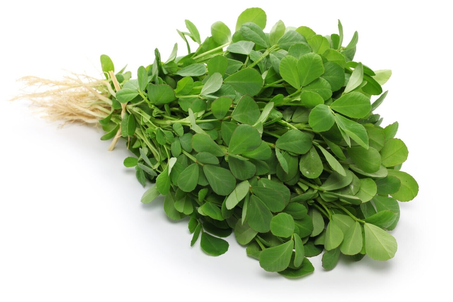 Methi - Bunch