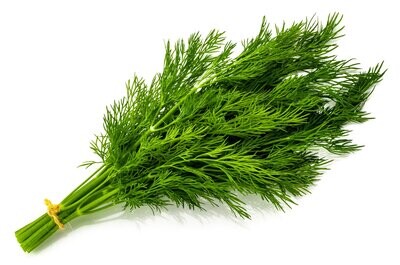 Dill - Bunch