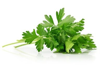 Parsley - Bunch