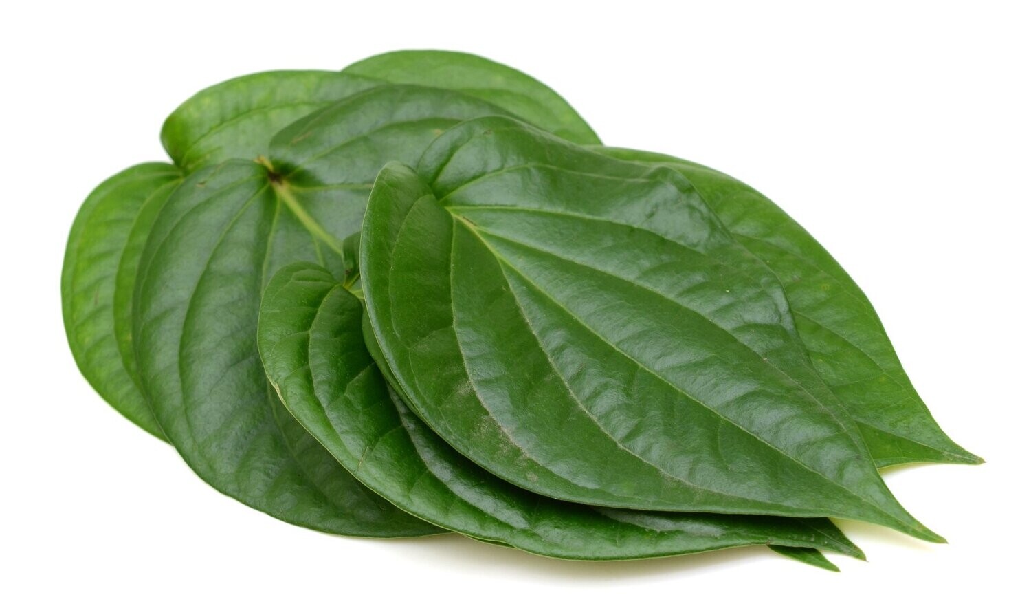 Betel Leaves (20pcs)