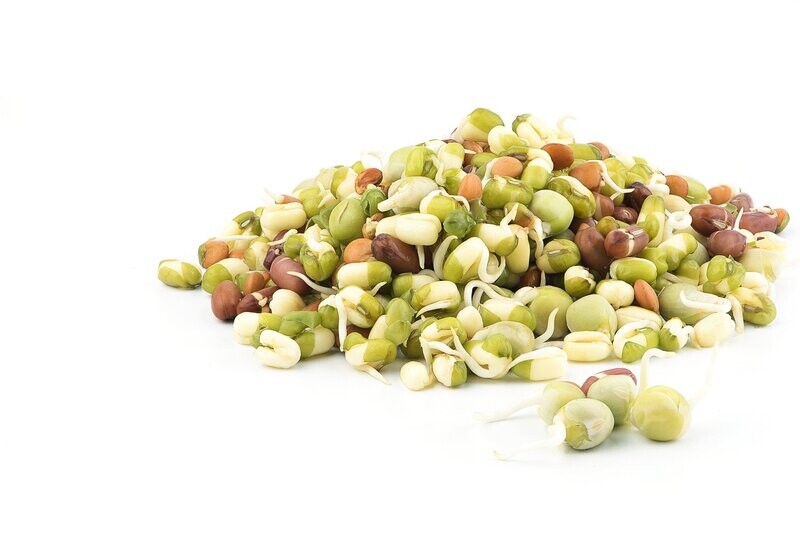Mixed Sprouts - 400 gm