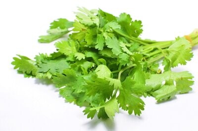 Coriander - Bunch