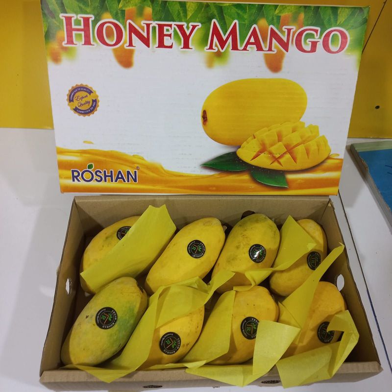 Honey Mango - Jumbo