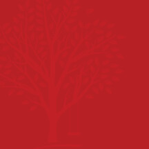 Older 3&#39;s/Young 4&#39;s Program Tuition