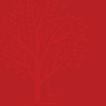 RPA (REDS Parent Association)
