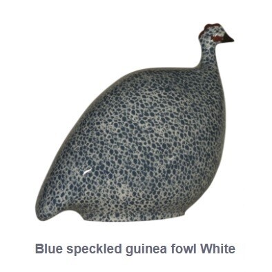 Parelhoender Blauw Gestippeld Wit