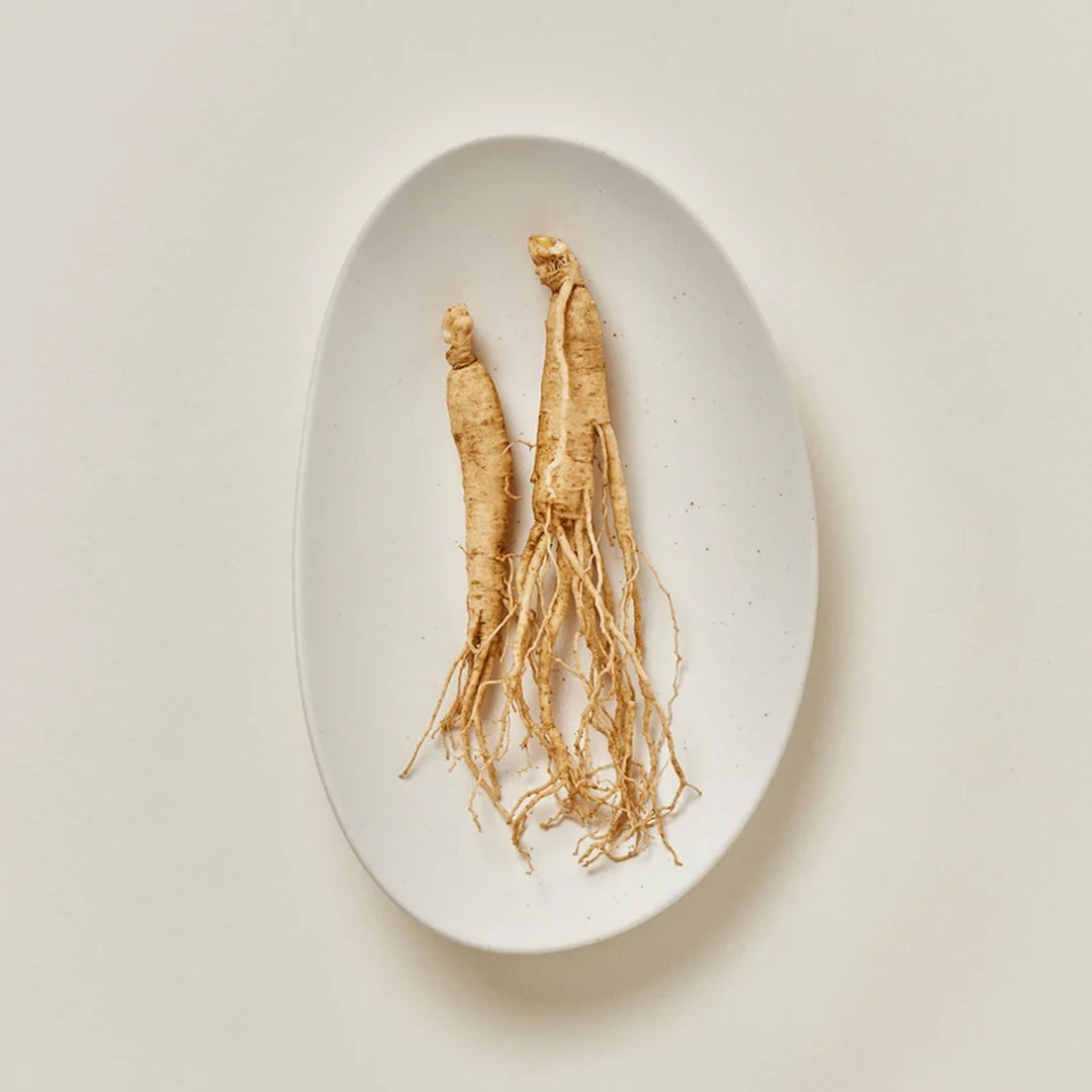 BEAUTY OF JOSEON Ginseng Moist Sun Serum