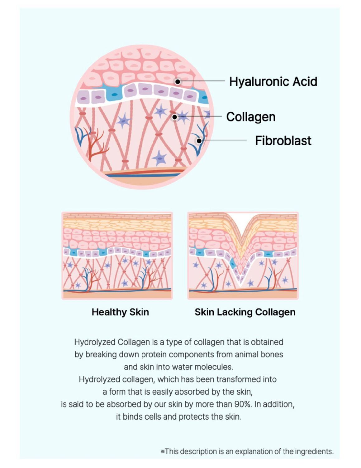 TERESIA Marine Collagen Brightening Tone-up Cream