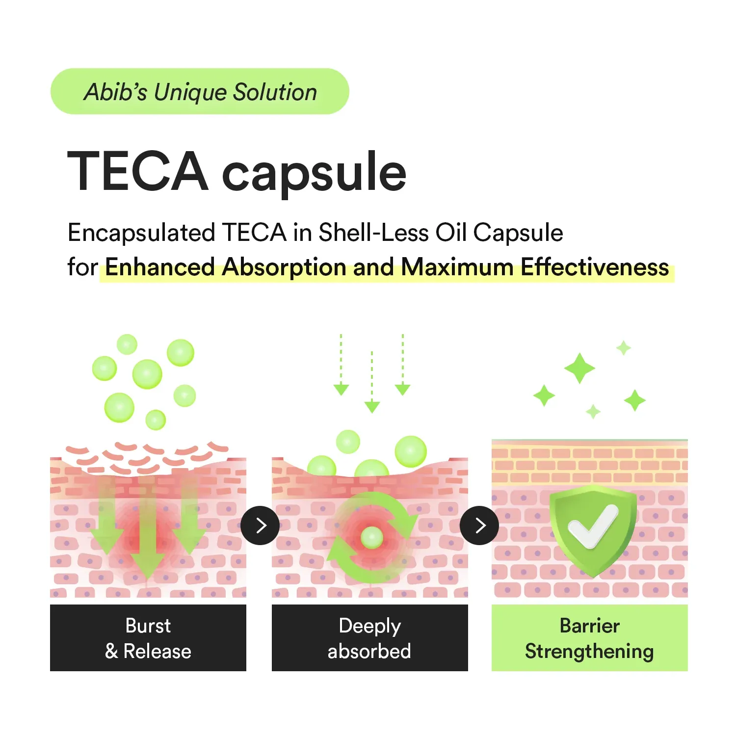 Abib Heartleaf TECA Capsule Serum