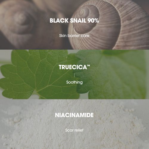 SOMEBYMI Snail Truecica Miracle Repair Toner 150ml
