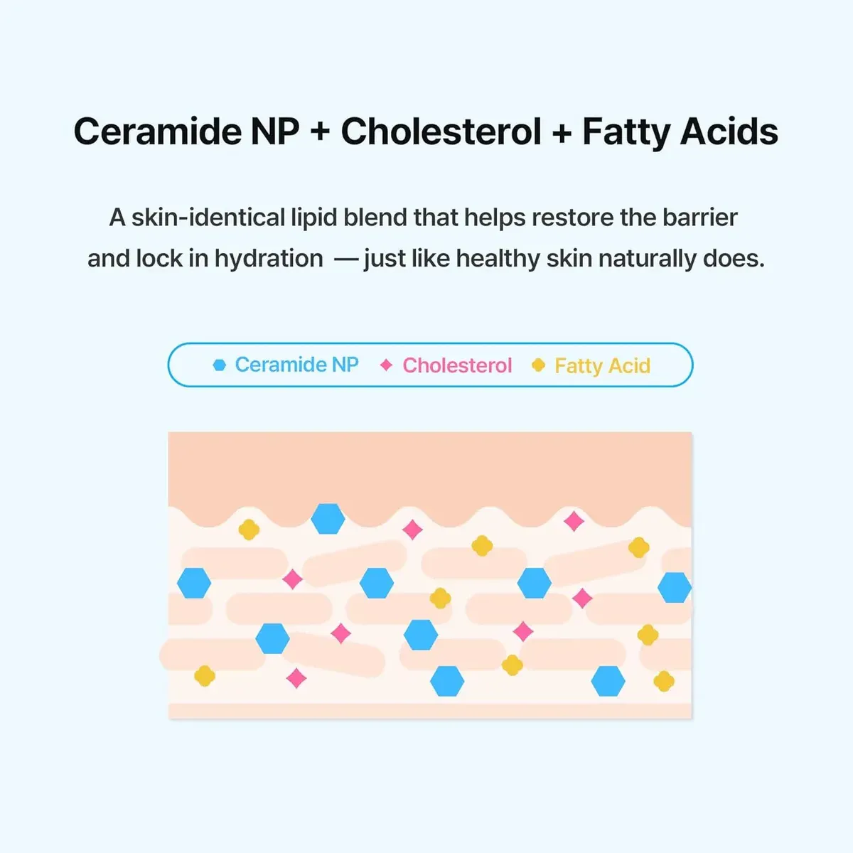 SOONDING Coconut Hydro Barrier Cream