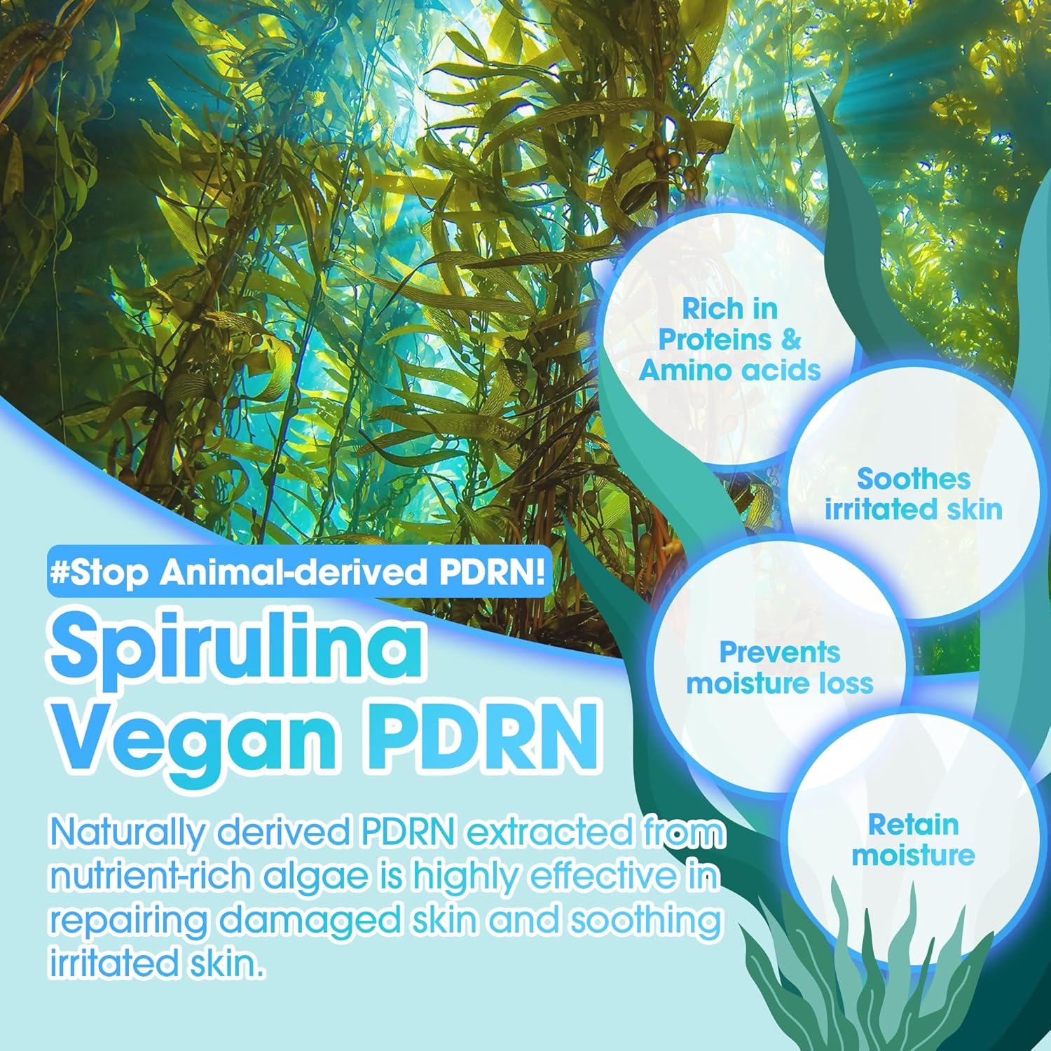 SOMEBYMI PDRN Spirulina Soothing Repair Serum 50ml