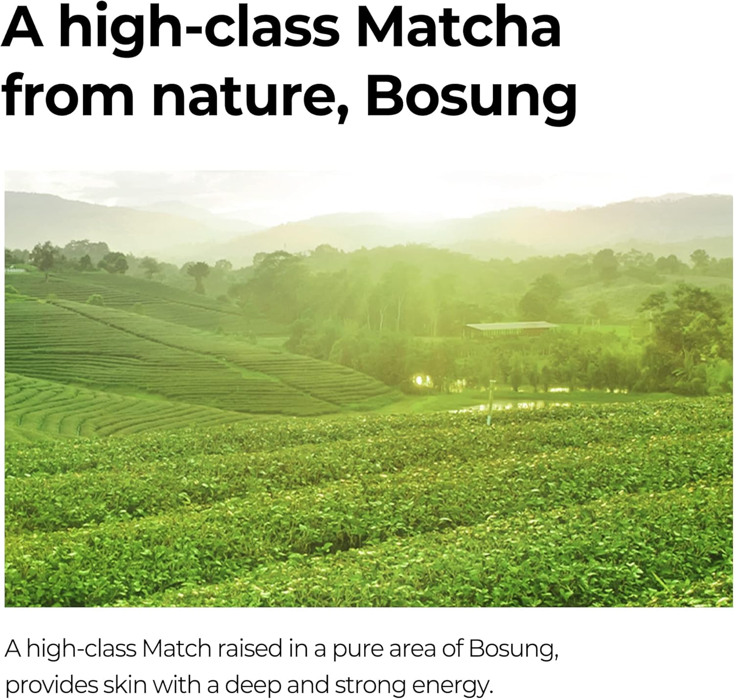 SOMEBYMI Super Matcha Pore Clean Cleansing Gel 100ml