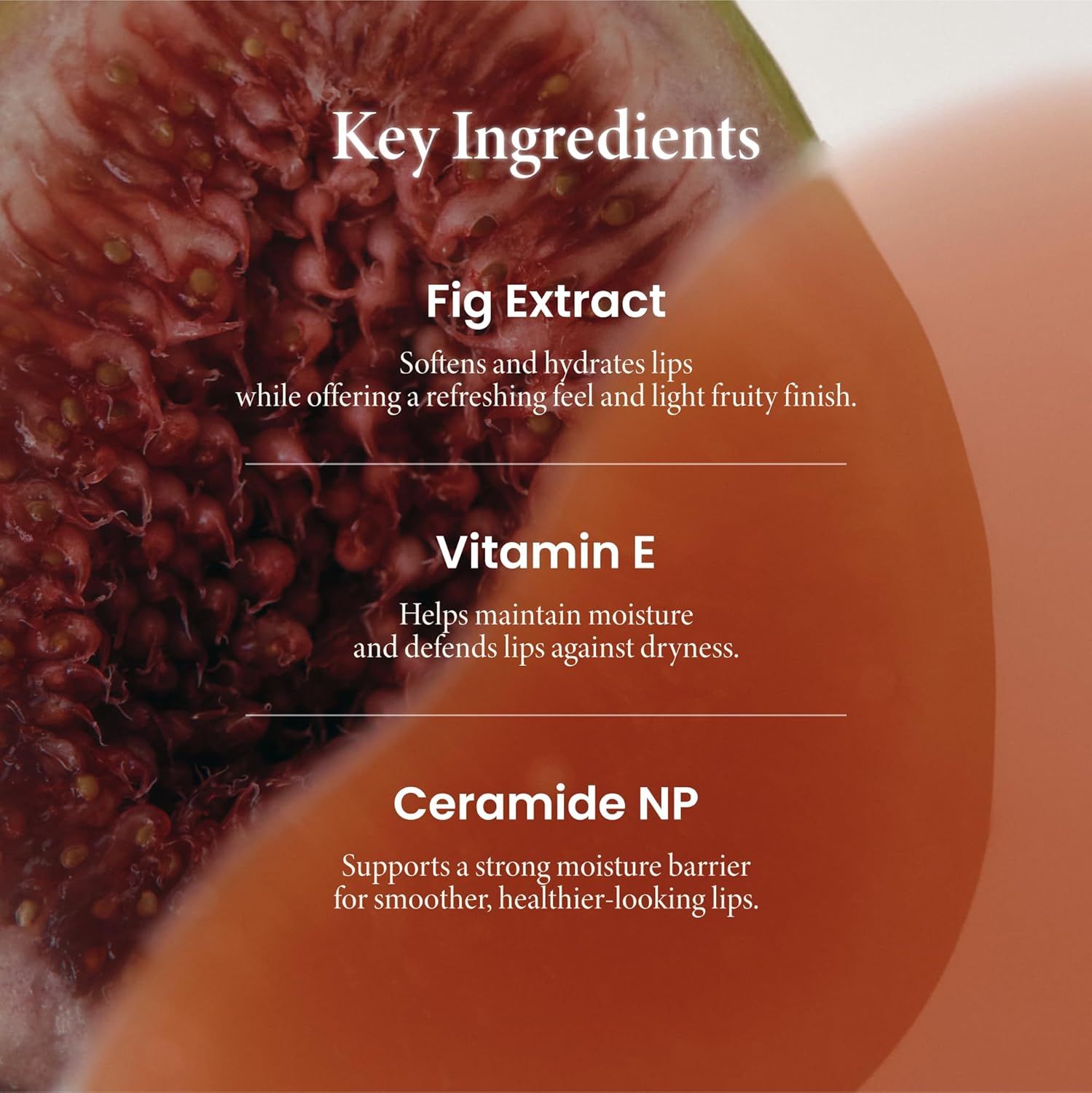 AXIS-Y Vita Glow Lip Oil (Cozy Fig)