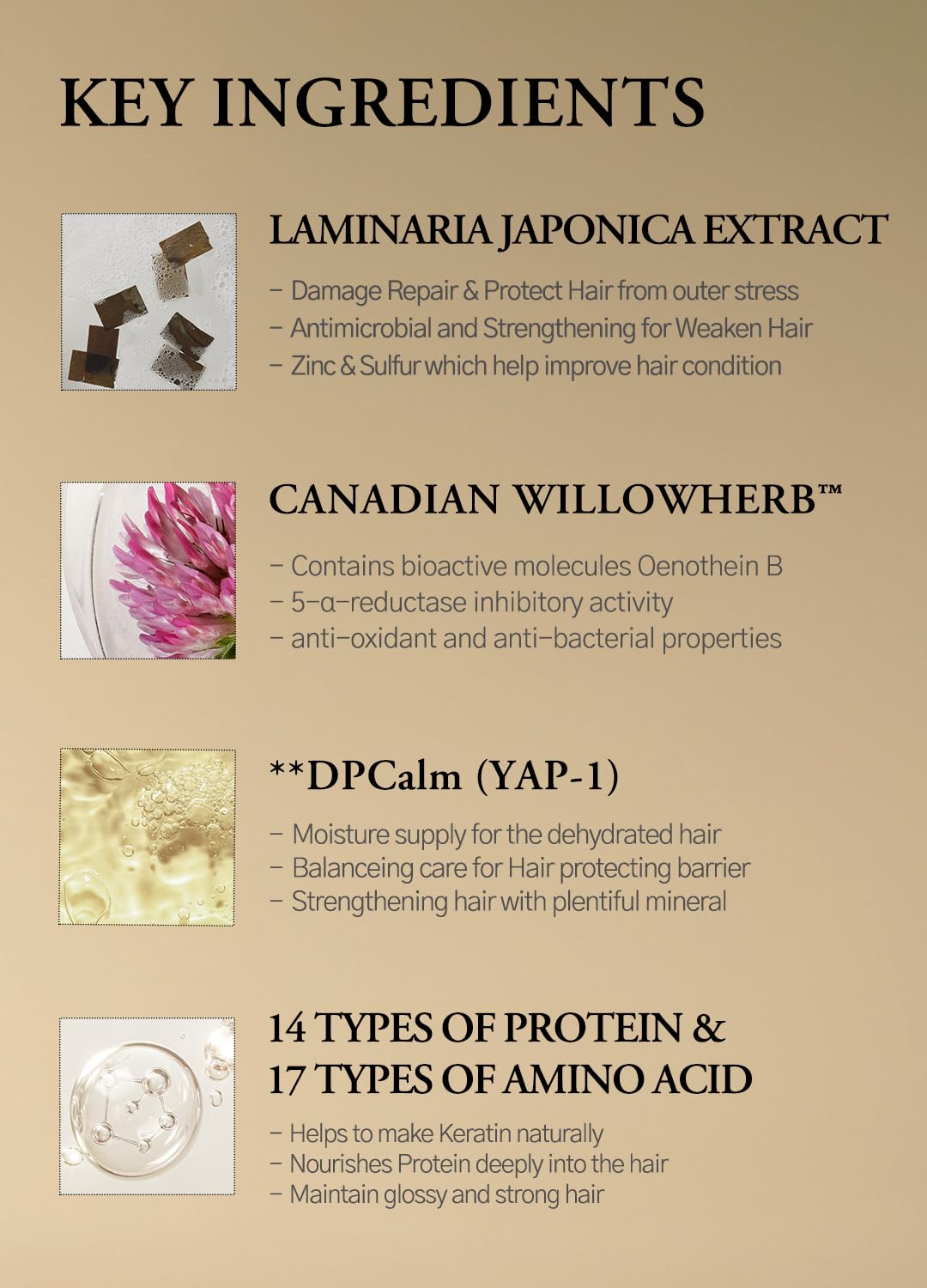 LAFERME Laminaria Conditioner Pine & Eucalyptus 500ml