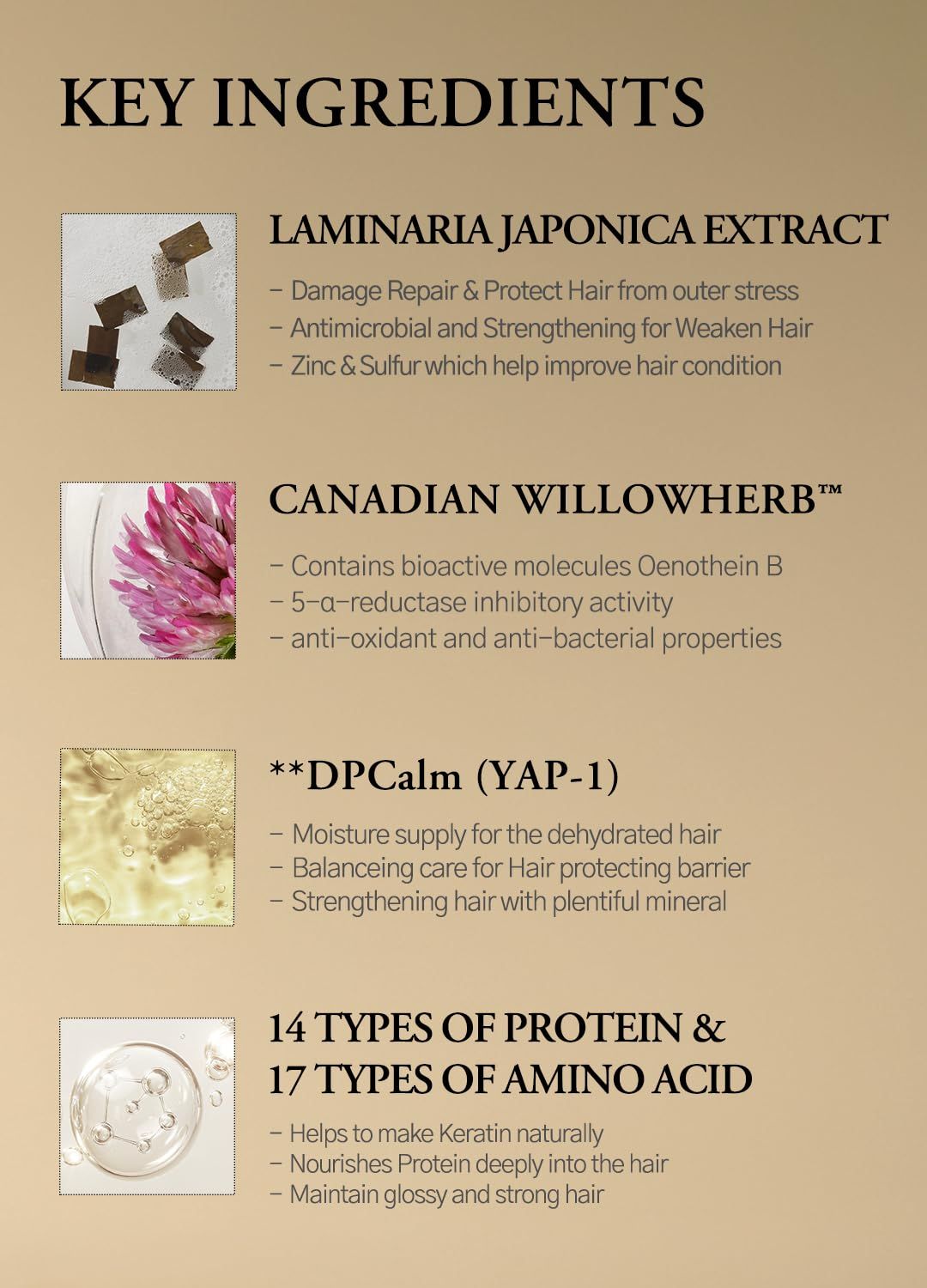 LAFERME Laminaria Conditioner Pine &amp; Eucalyptus 500ml