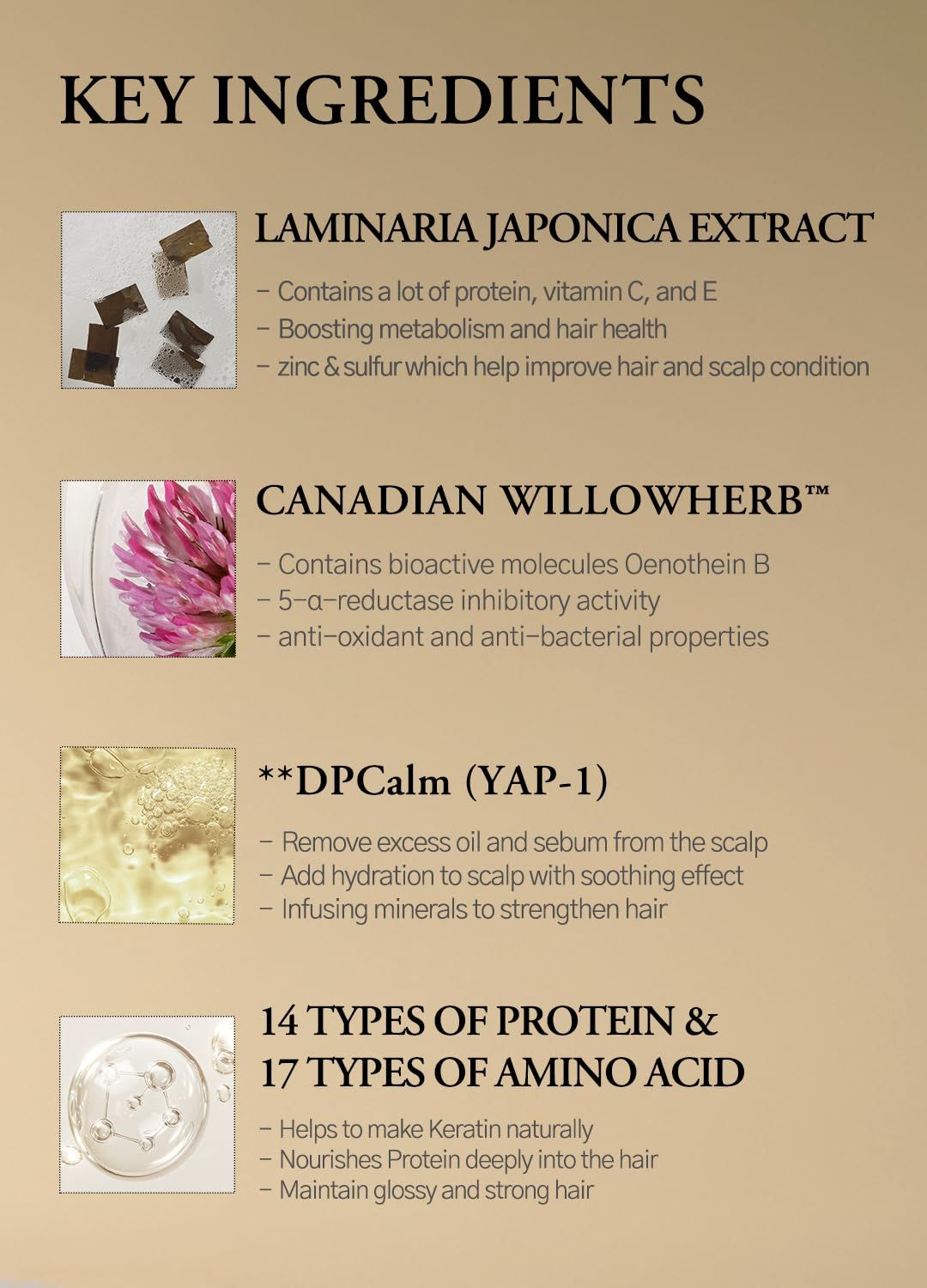 LAFERME Laminaria shampoo Pine &amp; Eucalyptus 500ml