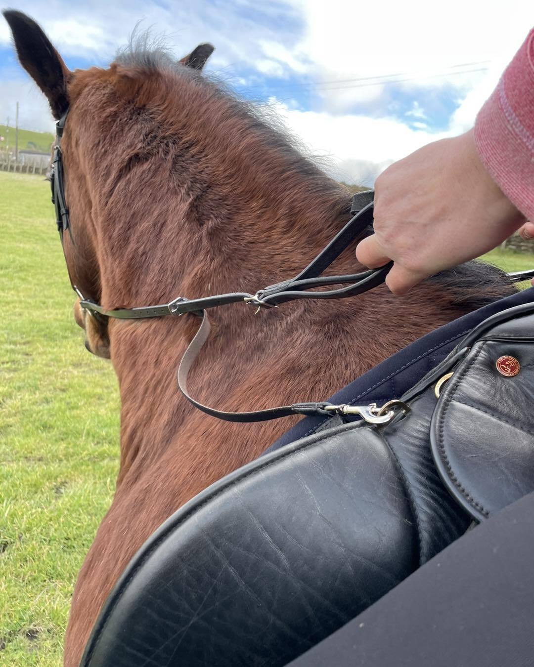Balanced Support Reins Leather with detachable handles Shop