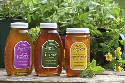 Wildflower Honey 16 oz Bottle🐝