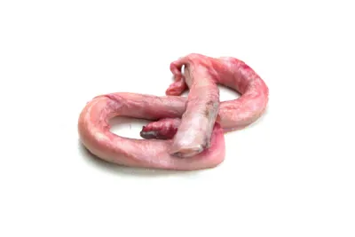 Beef Pizzle- Not for Human Consumption - Frozen