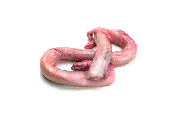 Beef Pizzle- Not for Human Consumption - Frozen