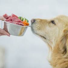 Large Puppy Pack - Not for Human Consumption- Frozen