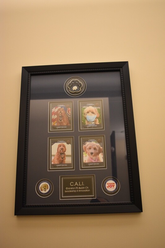 Custom Patch Coin Set