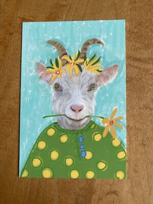 Goatflower Greeting Postcard