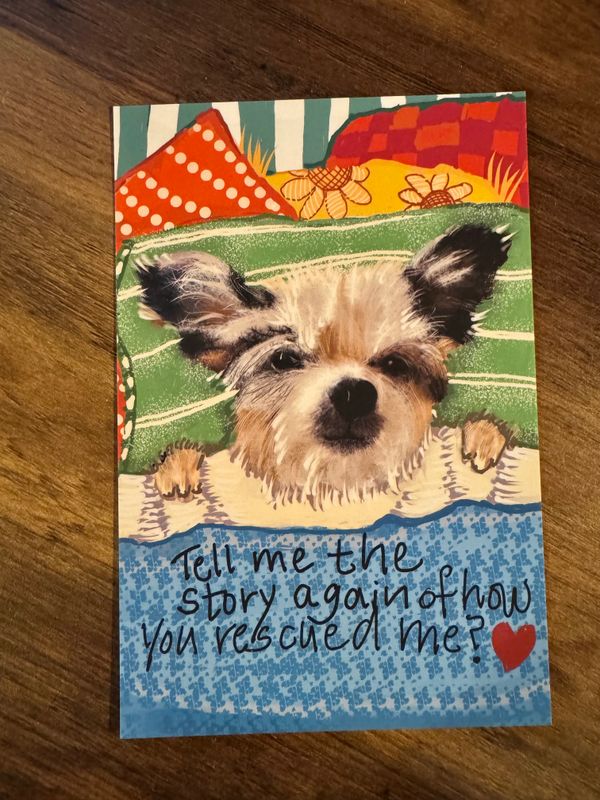 Martha Jane’s Bedtime Story