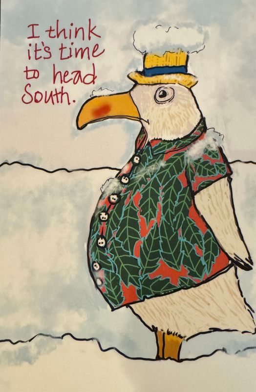 Snow Bird