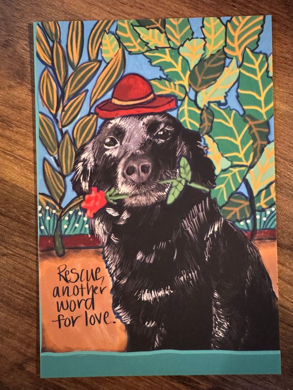 Gracie Rescue Love