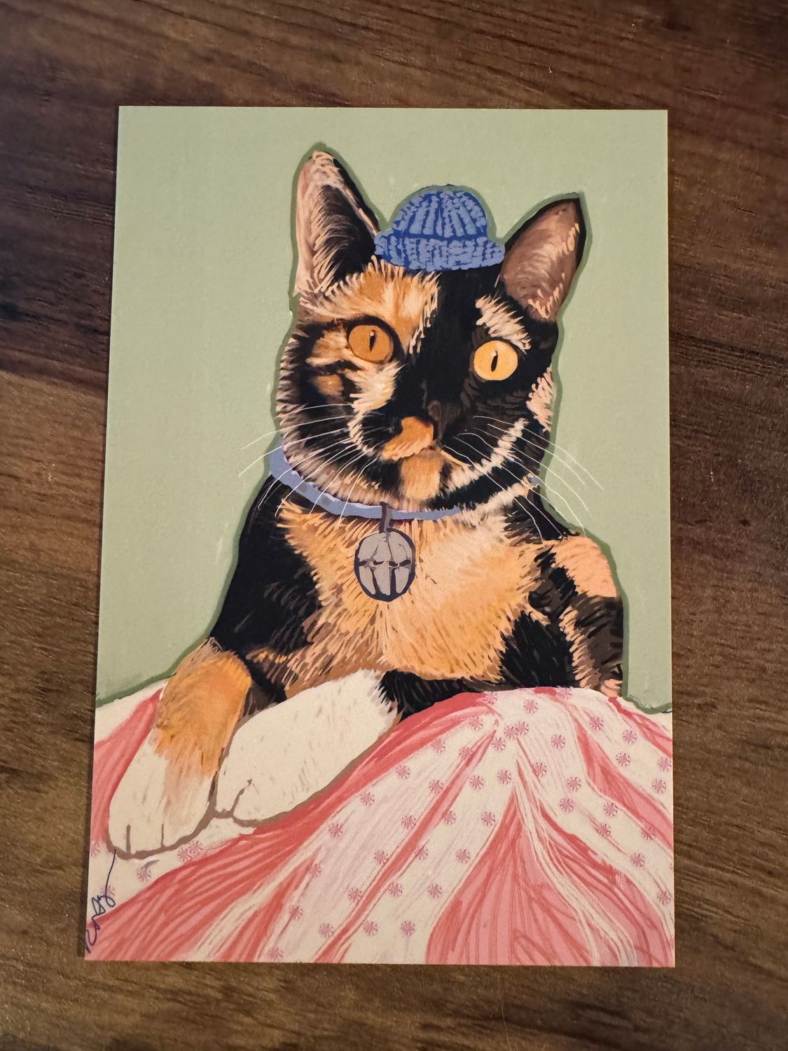 Katrina’s Gato