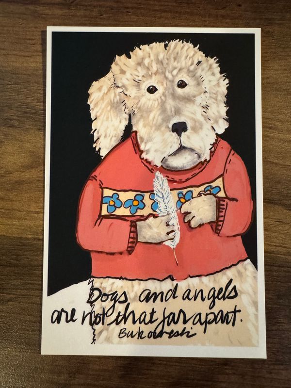 Francine the Angel Dog
