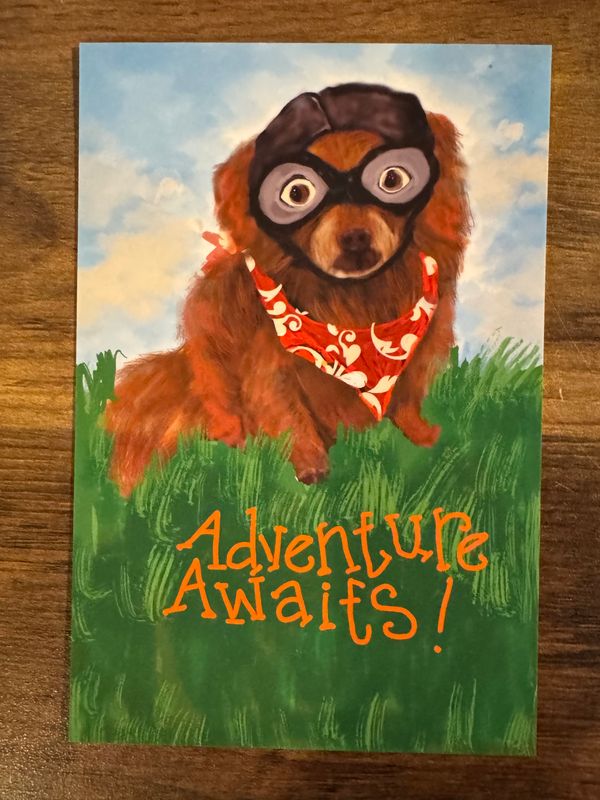 Adventure Awaits!