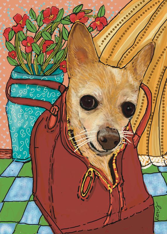 Chico the Purse Puppy