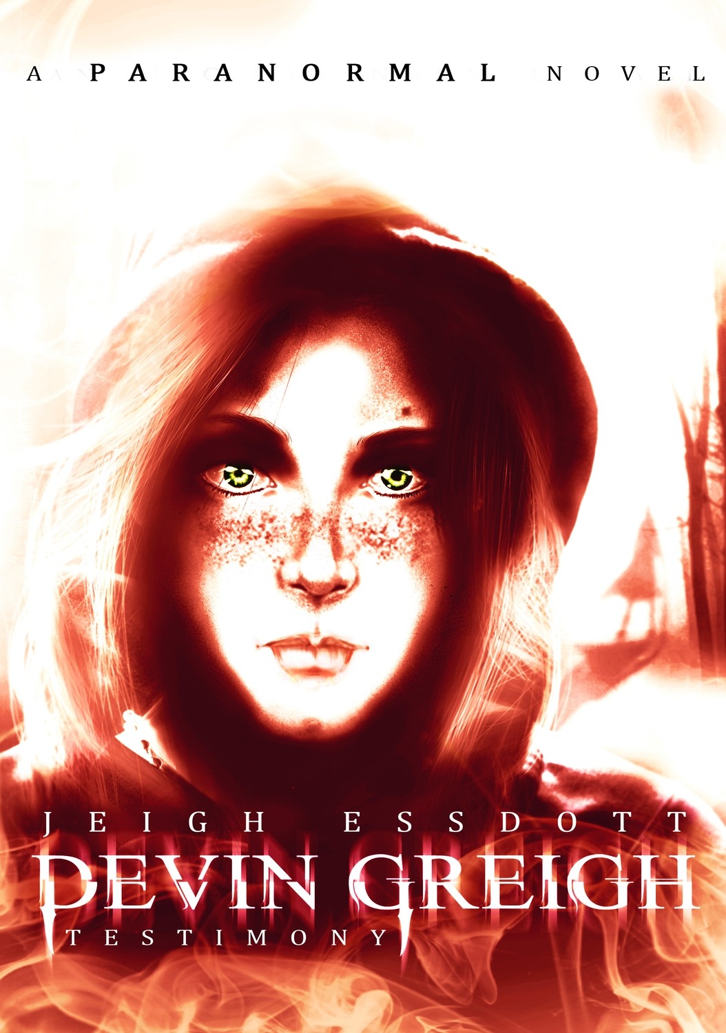 Devin Greigh: Testimony (Devin Greigh Series) (Volume 1)